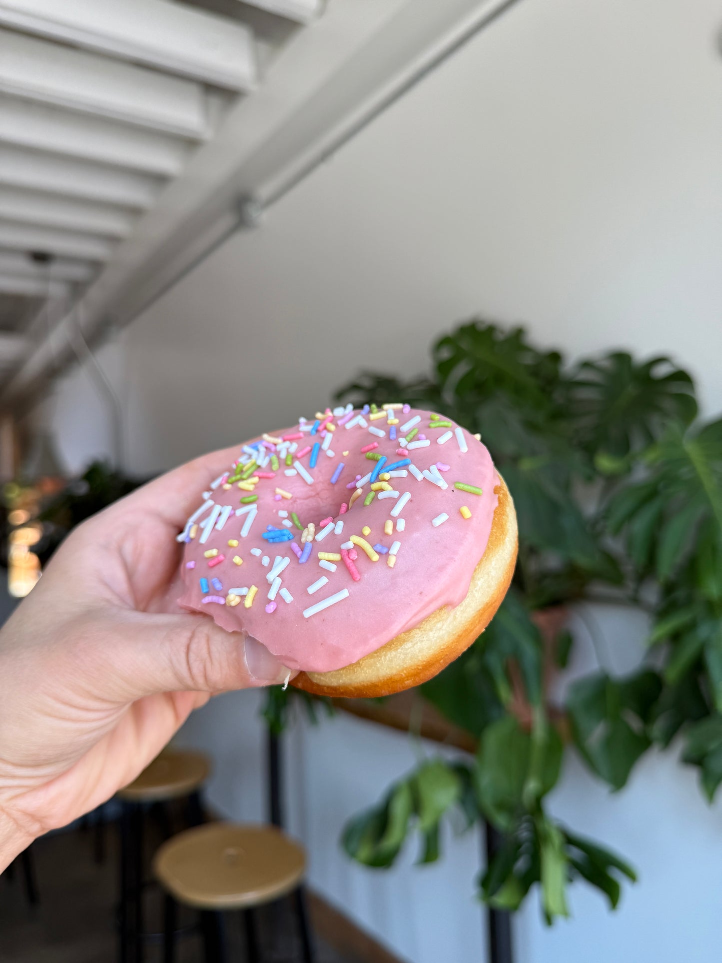 Custom Flavours Box of 6 Donuts