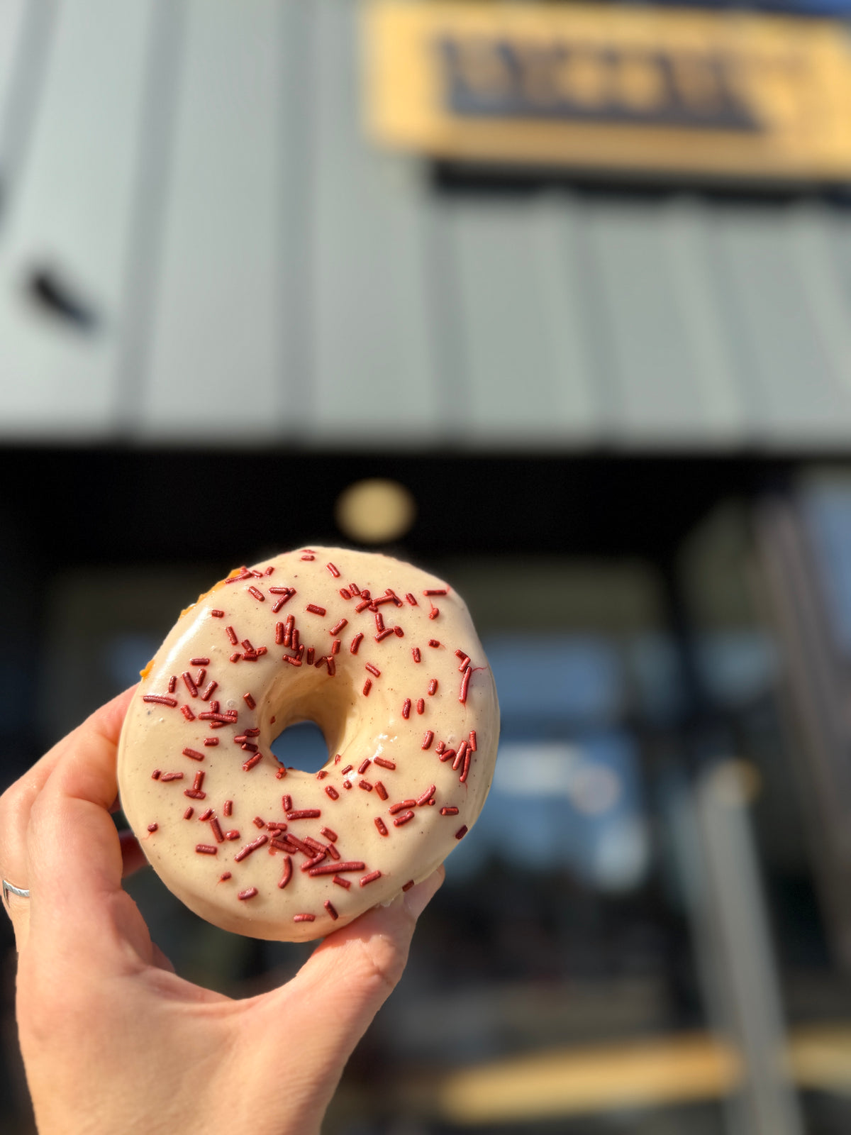 Thanksgiving Donuts