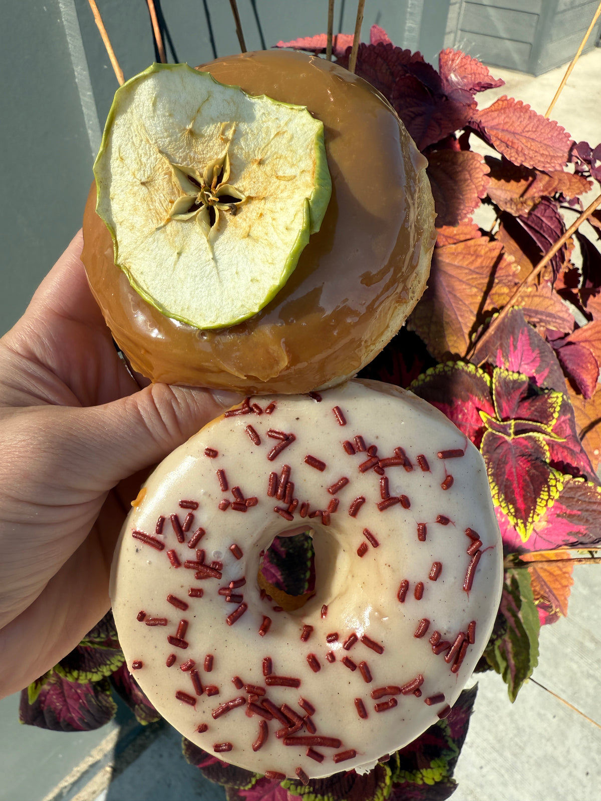 Thanksgiving Donuts